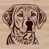 A detailed illustration of a Labrador Retriever's head, suitable for vector graphics and digital design.