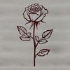 A single stem rose with curved petals in various shades of pink and red.