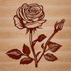 Rose Plant Graphic Design A detailed illustration of a rose plant with thorny stems and petals.
