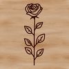 Vibrant Rose in Bloom A single rose in full bloom with green foliage, ideal for gardening projects and floral designs.