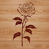 Minimalist Rose Illustration A detailed illustration of a single red rose with green leaves in a minimalist style.