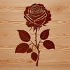 A Single Red Rose Illustration A high-resolution vector illustration of a single red rose with detailed petals and stem.