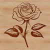 Rose Illustration in Various Shapes and Forms A detailed illustration of a rose flower in various shapes and forms, suitable for use as clip art or stencil design.