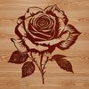 Floral Design in Bloom A detailed illustration of a single rose plant in full bloom.