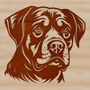 A Rottweiler dog's head is depicted in this vector illustration.