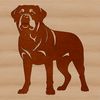 Rottweiler Breed Dog Illustration A vector illustration of a standing Rottweiler breed dog.