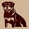Cute Rottweiler SVG Graphic Template Vector graphic representation of a rottweiler animal.