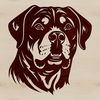 A illustration of a Rottweiler's head, suitable for vector design projects.
