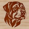 Illustrated vector image of a Rottweiler's head.