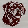 A high-quality digital illustration of a Rottweiler's head, suitable for vector art projects.
