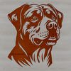 Free Vector Rottweiler Head Image A detailed illustration of a Rottweiler dog's head, suitable for use in various design applications.