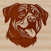 A close-up illustration of a Rottweiler's head, featuring a distinctive black-and-tan coat pattern.