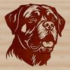 Vector portrait of a Rottweiler breed dog in various poses, suitable for personal or commercial use.