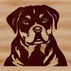 A close-up illustration of a Rottweiler's head, featuring the breed's distinctive markings and facial structure.