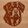 Canine Close-up SVG Illustration Close-up illustration of a Rottweiler's head, featuring a vector design suitable for various applications.