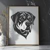 Rottweiler In PNG Format - Free Commercial Use License