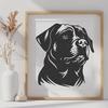 Beautiful Rottweiler PNG - Free Commercial Use Download