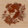 Vector Graphic Dog Head Illustration A high-quality digital illustration of an Australian Shepherd dog's head in vector format.