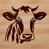 A single cow standing in a green pasture with its head held high.