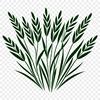 A vector graphic illustration of a single ear of wheat with delicate details and minimal lines.