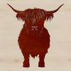 Rugged Scottish Livestock A Highland Cow standing in a field on a farm, with its distinctive horns and shaggy coat.