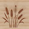 A single stalk of wheat with visible grains and leaves.