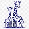 A close-up of a giraffe's face and neck, featuring distinctive markings and spots.
