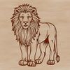 A standing lion in a natural habitat.