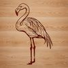 An illustration of a Flamingo bird in its natural habitat.