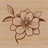 Vector artwork of a cherry blossom flower in full bloom.