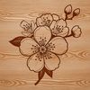 Cherry Blossom Icon A vibrant illustration of a single cherry blossom in full bloom.