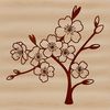 Beautiful Cherry Blossom in Full Color A detailed illustration of a cherry blossom in full bloom, suitable for various design applications.