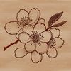Blossoming Beauty in Bloom A detailed vector representation of a single cherry blossom in bloom.