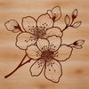 Beautiful Sakura Flower Vector Design A detailed vector graphic of a single cherry blossom flower, ideal for cutting machines like Cricut or laser cutters.