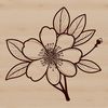 Lovely Cherry Bloom Clipart A detailed illustration of a cherry blossom in full bloom, suitable for vector design and digital art.