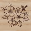 Pink and White Cherry Blossom Design A stylized illustration of a blooming cherry blossom flower in vibrant pink and white colors.