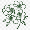 Free Vector Sakura Flower Design A stylized illustration of a cherry blossom flower in bloom, suitable for vector graphics and digital designs.