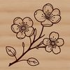 A single blooming cherry blossom with five petals, against a white background.