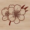 Delicate Cherry Flower Vector A delicate cherry blossom flower in vector format, suitable for digital and print design.