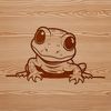 A colorful illustration of a salamander in various shapes and poses.