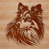 Shetland Sheepdog Portrait A portrait illustration of a Shetland sheepdog's head with detailed features.