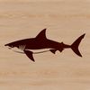 A Wild Sea Predator A detailed illustration of a shark, a wild sea creature found in oceans around the world.