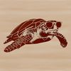 Turtle Summer Vibes A sea turtle wearing sunglasses swims in the ocean, illustration of a wild animal found in seaside environments.