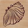 An illustration of a seashell with intricate details, suitable for vector design and cutting machine applications.