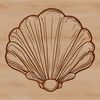 An outline of a seashell in a digital design style suitable for cut-out projects or graphics.