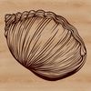 Beautiful Vector Seashell Design A stylized illustration of a seashell, suitable for various graphic design projects.