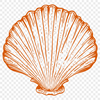 An ornate design element featuring a detailed seashell shape, ideal for use in digital art and craft applications.