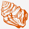 Free Seashell In PDF - For Free Download, Commercial Use