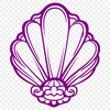 A stylized illustration of a shell found on the seaside.