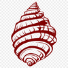 Artistic Seashell In PNG Free Commercial Use Download